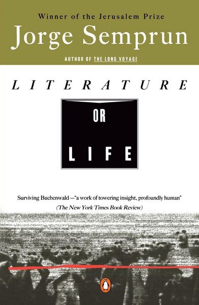 Produktbild: Literature or Life