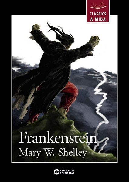 Produktbild: Frankenstein