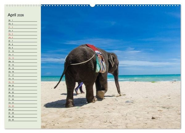 Produktbild: Elefanten. Badespa&szlig; am Strand (Wandkalender 2026 DIN A2 quer), CALVENDO Monatskalender