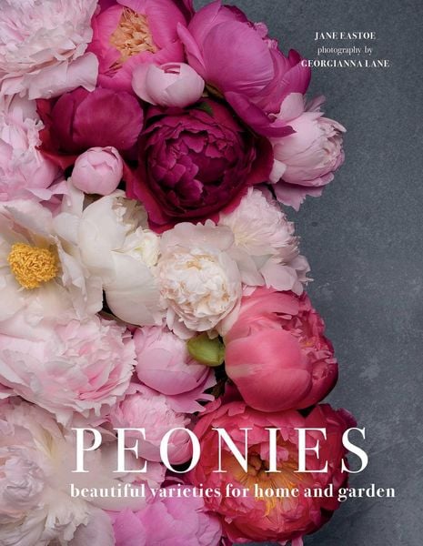 Produktbild: Peonies