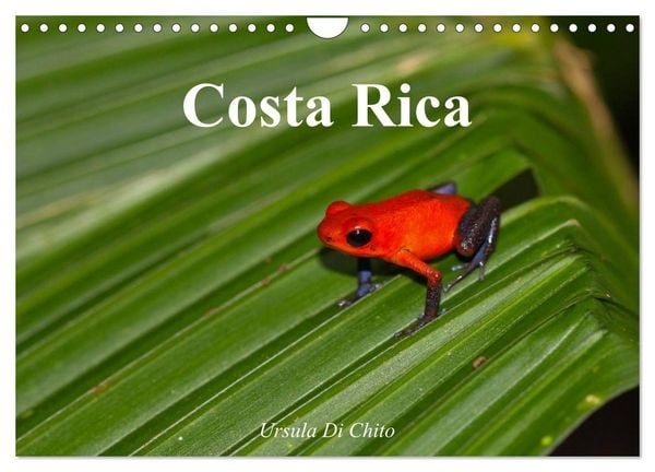 Produktbild: Costa Rica (Wandkalender 2026 DIN A4 quer), CALVENDO Monatskalender