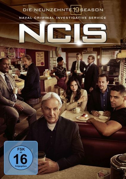 Navy CIS - Season 19 [6 DVDs]