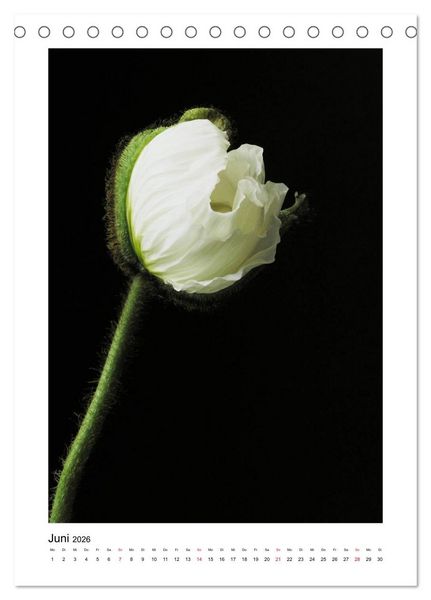 Produktbild: Poesie wei&szlig;er Bl&uuml;ten (Tischkalender 2026 DIN A5 hoch), CALVENDO Monatskalender