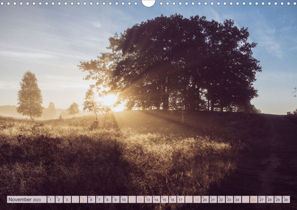 Wunderbare Heidelandschaften (Wandkalender 2023 DIN A3 quer)