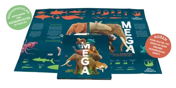 Produktbild: MEGA