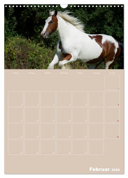 Produktbild: Pferde / Planer (Wandkalender 2026 DIN A3 hoch), CALVENDO Monatskalender