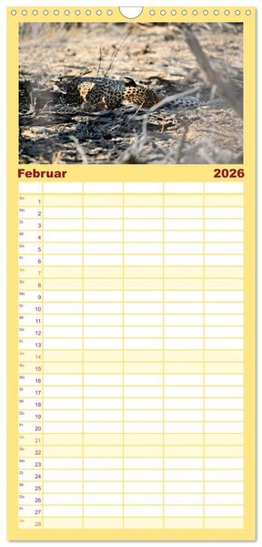 Produktbild: Familienplaner 2026 - Kgalagadi - Fauna und Wildtiere in der Kalahari mit 5 Spalten (Wandkalender, 21 x 45 cm) CALVENDO