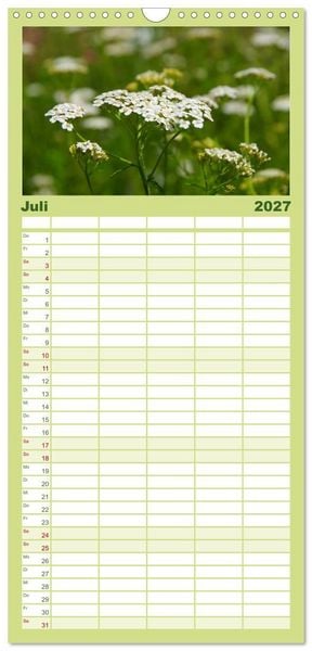 Produktbild: Familienplaner 2027 - Arzneipflanzen mit 5 Spalten (Wandkalender, 21 x 45 cm) CALVENDO