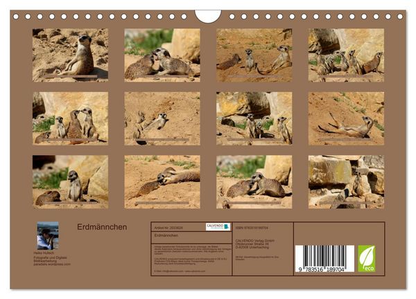 Produktbild: Erdm&auml;nnchen (Wandkalender 2026 DIN A4 quer), CALVENDO Monatskalender