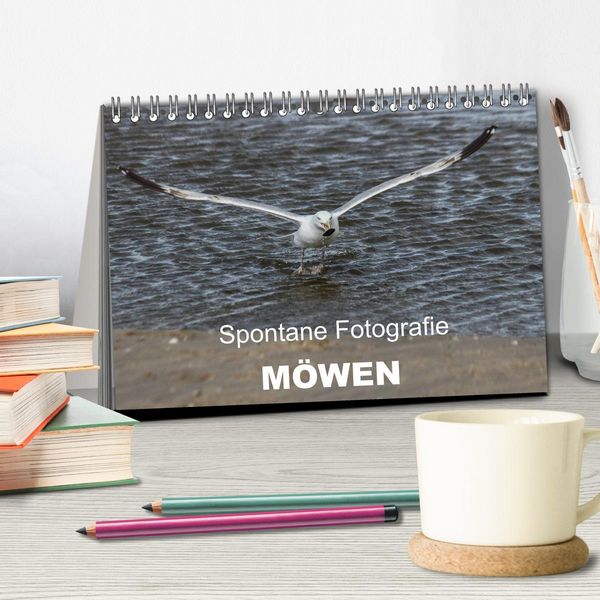 Produktbild: Spontane Fotografie - M&ouml;wen (Tischkalender 2026 DIN A5 quer), CALVENDO Monatskalender
