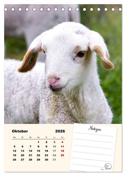 Produktbild: L&auml;mmergl&uuml;ck (Tischkalender 2026 DIN A5 hoch), CALVENDO Monatskalender