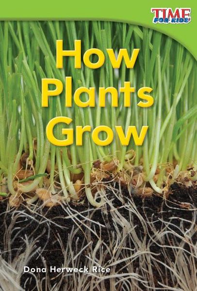 Produktbild: How Plants Grow