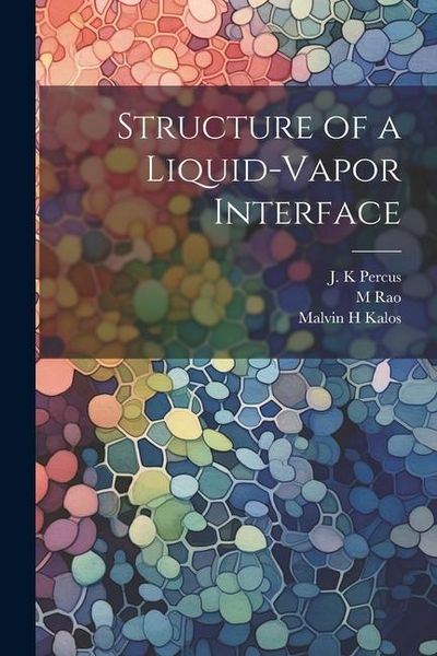 Produktbild: Structure of a Liquid-vapor Interface