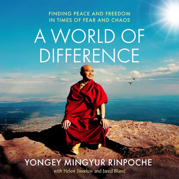 Produktbild: A World of Difference