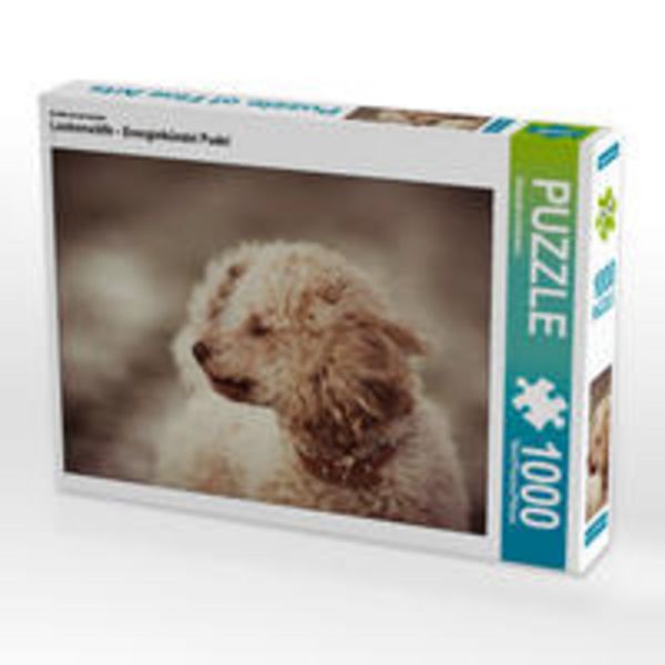 CALVENDO Puzzle Lockenwölfe - Energiebündel Pudel 1000 Teile Lege-Größe 64 x 48 cm Foto-Puzzle Bild von Alexandra Hollstein
