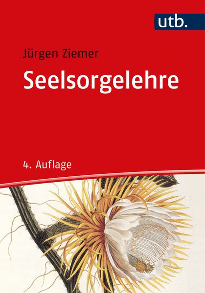 Produktbild: Seelsorgelehre