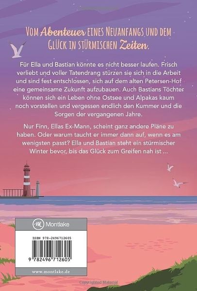 Produktbild: Das Gl&uuml;ck in einer st&uuml;rmischen Nacht