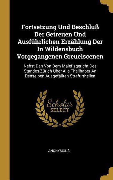 Produktbild: Fortsetzung Und Beschlu&szlig; Der Getreuen Und Ausf&uuml;hrlichen Erz&auml;hlung Der in Wildensbuch Vorgegangenen Greuelscenen: Nebst Den Von Dem Malefizgericht Des
