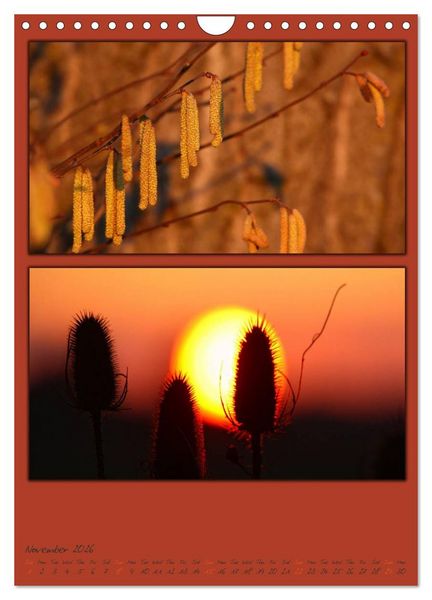 Produktbild: Colours of Nature / UK-Version (Wall Calendar 2026 DIN A4 portrait), CALVENDO 12 Month Wall Calendar