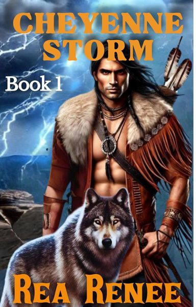 Produktbild: Cheyenne Storm (Cheyenne Series, #1)