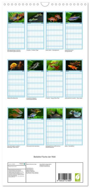 Produktbild: Familienplaner 2026 - Beliebte Fische der Welt mit 5 Spalten (Wandkalender, 21 x 45 cm) CALVENDO