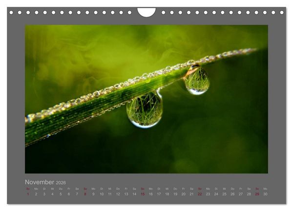 Produktbild: Kleine, gro&szlig;e Tropfenwelt (Wandkalender 2026 DIN A4 quer), CALVENDO Monatskalender