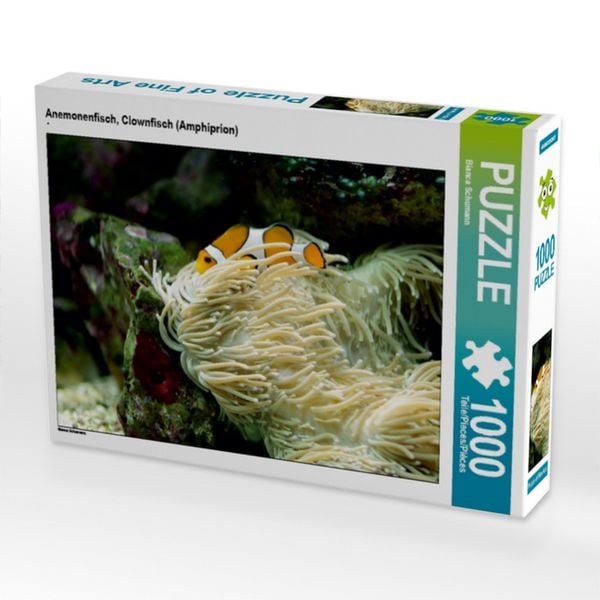 CALVENDO Puzzle Anemonenfisch, Clownfisch (Amphiprion) | 1000 Teile Lege-Größe 64x48cm Foto-Puzzle für glückliche Stunden