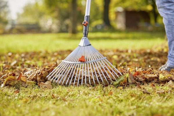 Produktbild: Gardena 3103-20 Verstellbesen 50cm Combisystem