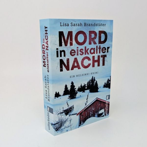 Produktbild: Mord in eiskalter Nacht