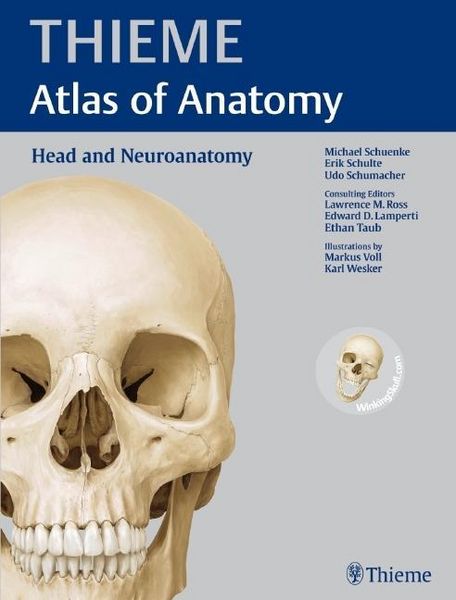 Produktbild: Head and Neuroanatomy