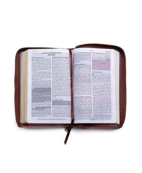 Santa Biblia de Promesas Rvr 1960 Letra Grande Tamaño Manual Piel Especial Con Cierre Color Café Spanish Edition, Gebundene Ausgabe von , Editorial