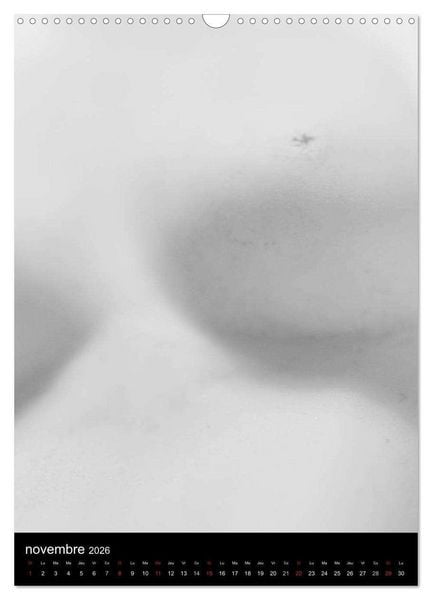 Produktbild: F&eacute;minit&eacute; (Calendrier mural 2026 DIN A3 horizontal), CALVENDO calendrier mensuel