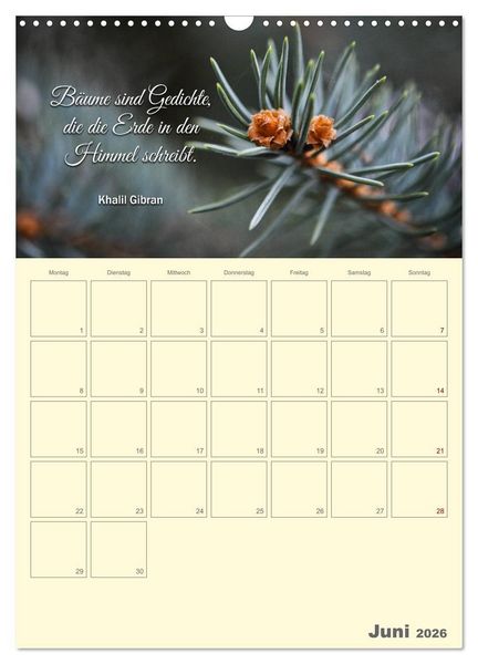 Produktbild: Gartenliebe (Wandkalender 2026 DIN A3 hoch), CALVENDO Monatskalender