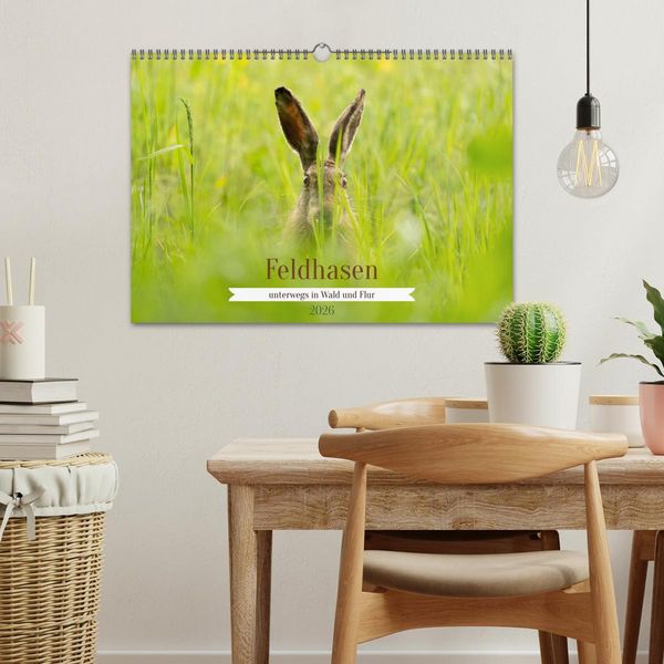 Produktbild: Feldhasen unterwegs in Wald und Flur (Wandkalender 2026 DIN A3 quer), CALVENDO Monatskalender