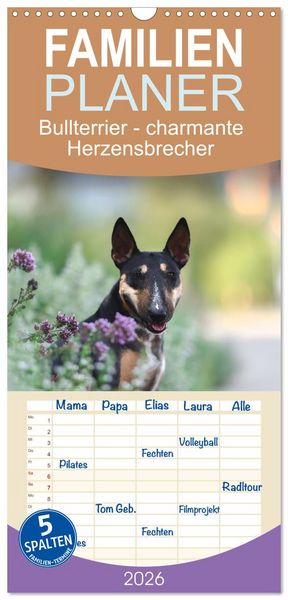 Produktbild: Familienplaner 2026 - Bullterrier - charmante Herzensbrecher mit 5 Spalten (Wandkalender, 21 x 45 cm) CALVENDO