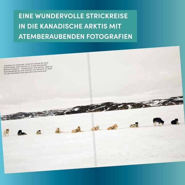 Arctic Knits
