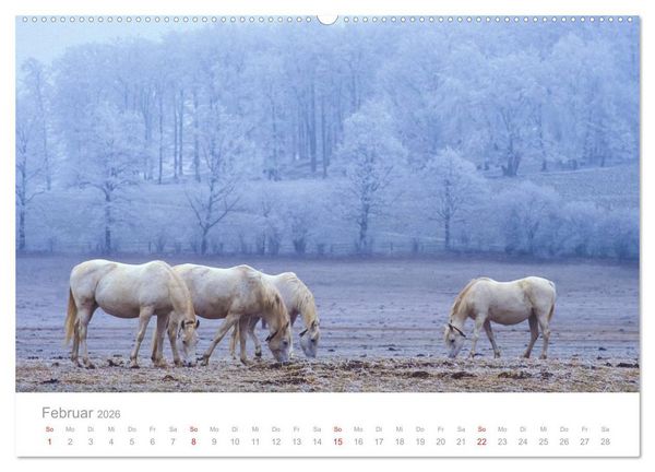 Produktbild: SCHW&Auml;BISCHE ALB W.Dieterich (Wandkalender 2026 DIN A2 quer), CALVENDO Monatskalender