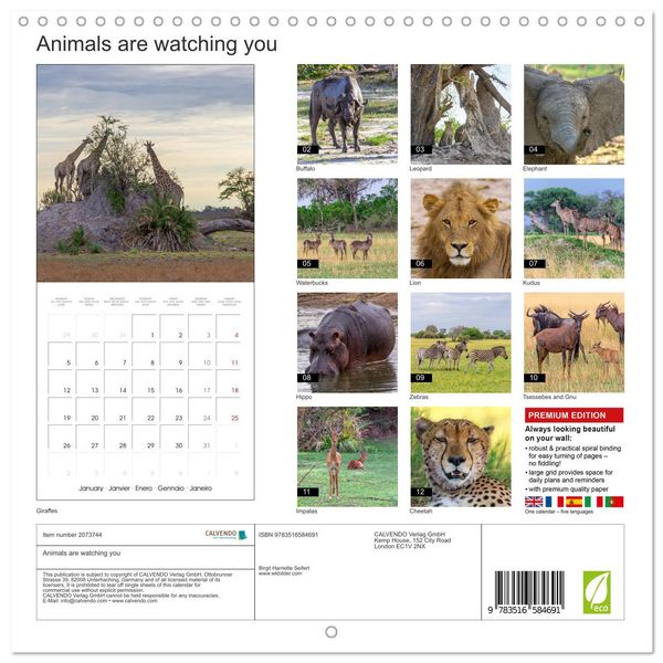 Produktbild: Animals are watching you (Wall Calendar 2026 12 &times; 12 Inch) CALVENDO 12 Month Wall Calendar