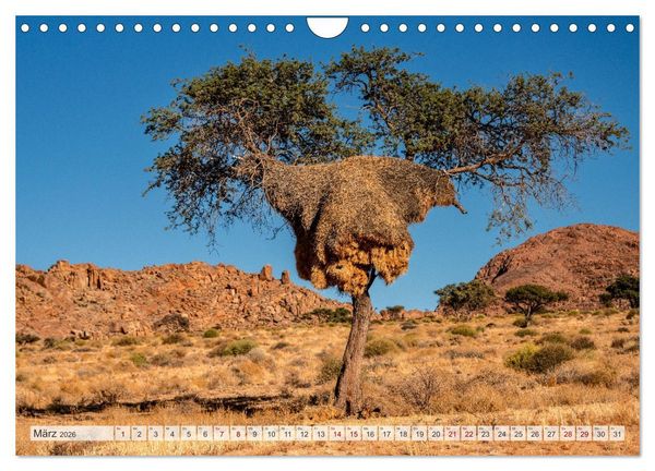Produktbild: Abenteuerliches Namibia (Wandkalender 2026 DIN A4 quer), CALVENDO Monatskalender