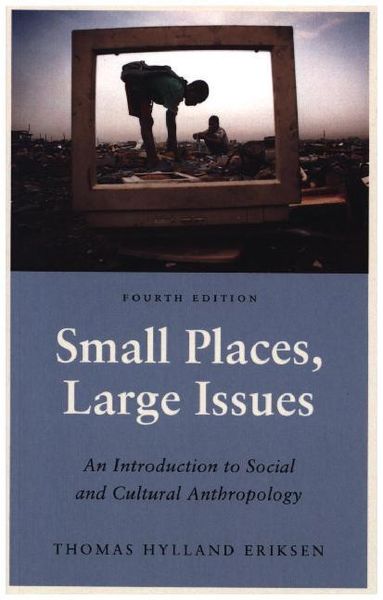 Produktbild: Eriksen, T: Small Places, Large Issues