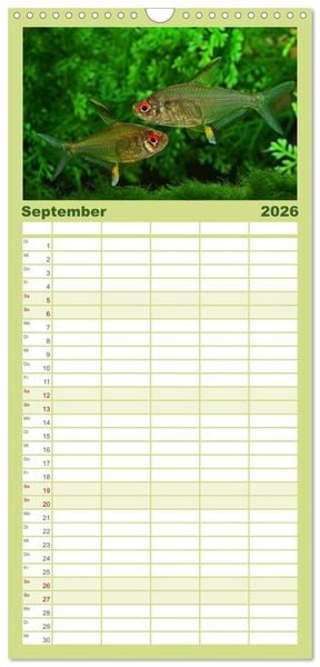 Produktbild: Familienplaner 2026 - Beliebte Fische der Welt mit 5 Spalten (Wandkalender, 21 x 45 cm) CALVENDO