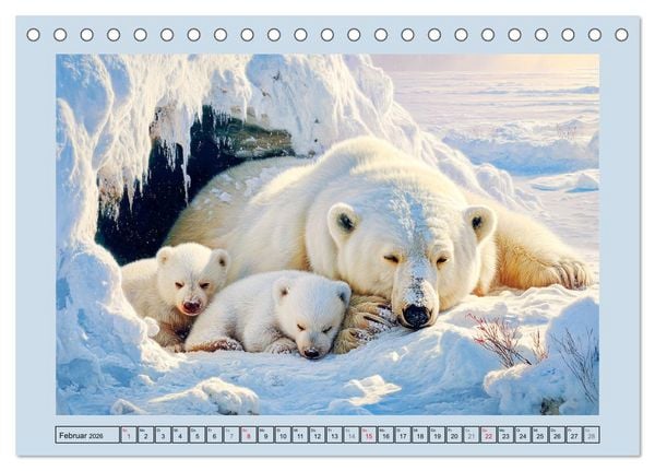Produktbild: Im Reich der Eisb&auml;ren. Imposante K&ouml;nige des Nordlichts (Tischkalender 2026 DIN A5 quer), CALVENDO Monatskalender