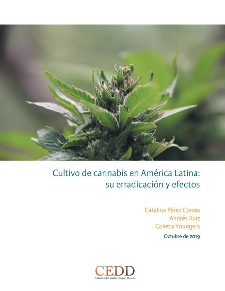 Produktbild: Cultivo de cannabis en Am&eacute;rica Latina, su erradicaci&oacute;n y efectos