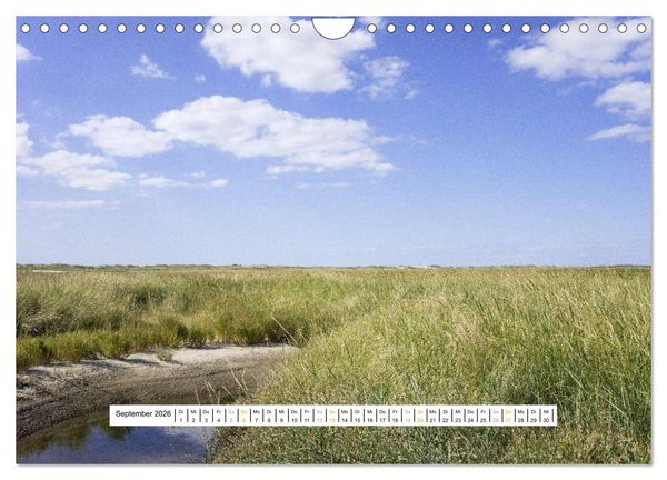 Produktbild: St. Peter-Ording (Wandkalender 2026 DIN A4 quer), CALVENDO Monatskalender