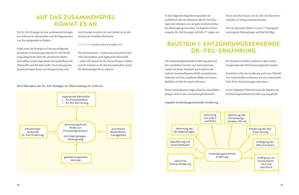 Produktbild: Arthrose endlich heilen