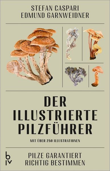 Produktbild: Der illustrierte Pilzf&uuml;hrer