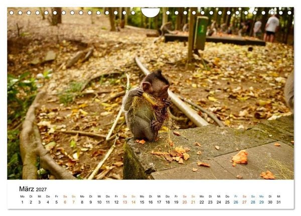 Produktbild: S&uuml;dostasien - Thailand, Philippinen, Bali (Wandkalender 2027 DIN A4 quer), CALVENDO Monatskalender