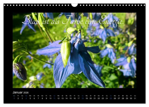 Produktbild: Goethes Blau. Gedanken zur Farbe (Wandkalender 2026 DIN A3 quer), CALVENDO Monatskalender
