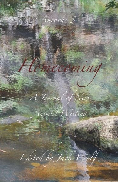Produktbild: Homecoming 3