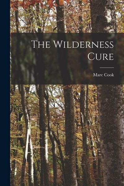 Produktbild: The Wilderness Cure